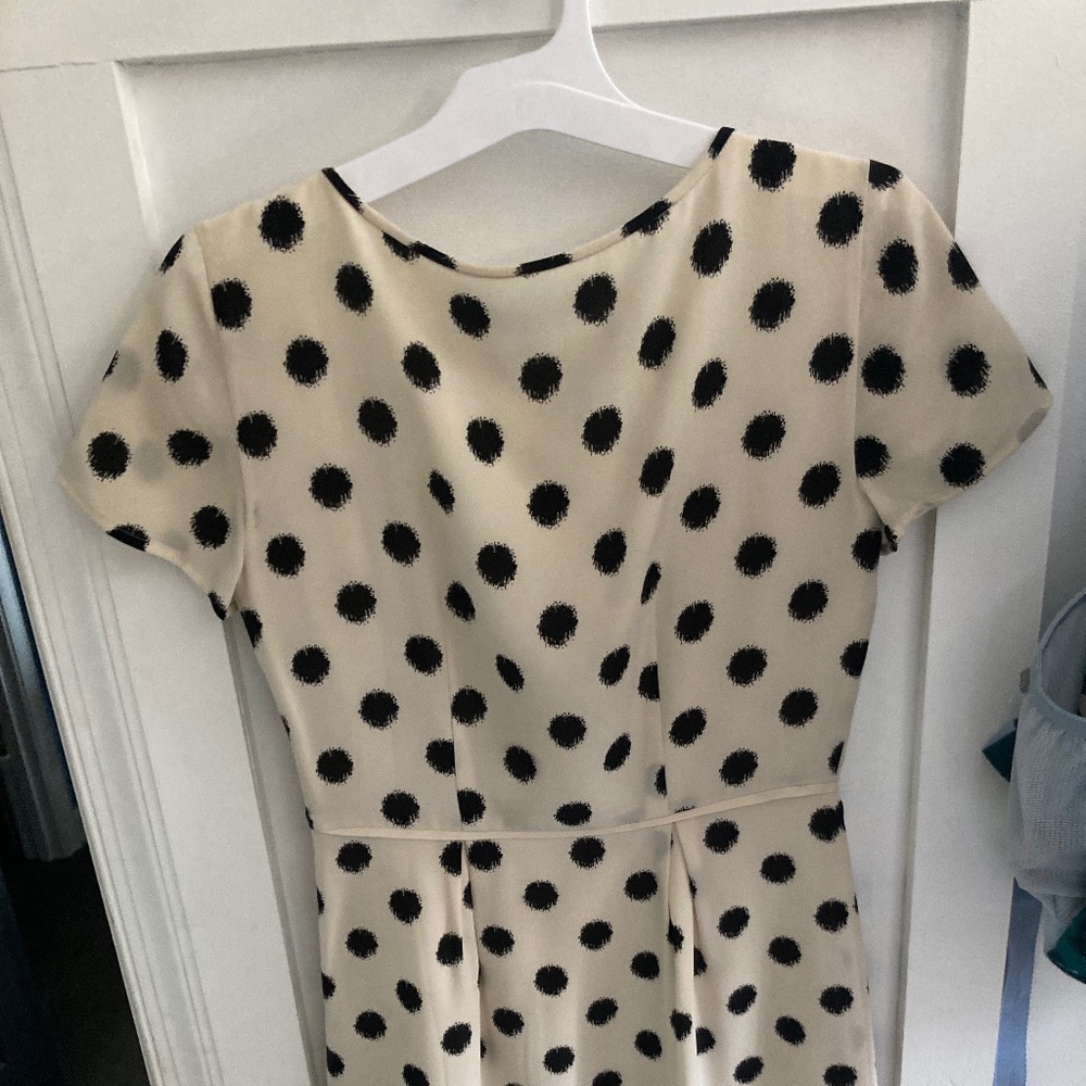Broadway and Broome Polka Dot Dress 00